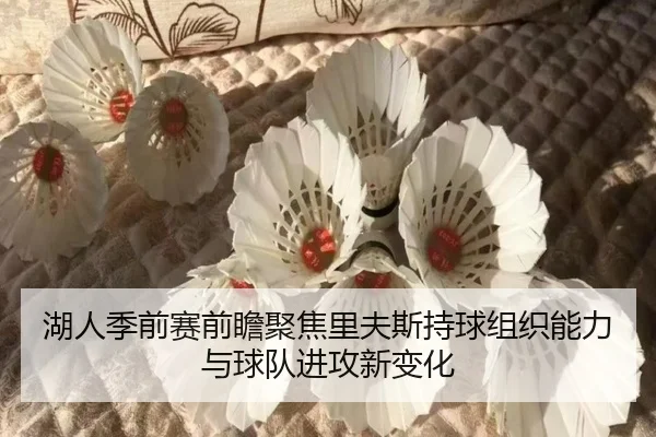 湖人季前赛前瞻聚焦里夫斯持球组织能力与球队进攻新变化