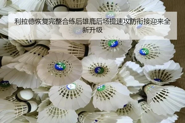 利拉德恢复完整合练后雄鹿后场提速攻防衔接迎来全新升级